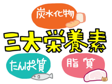 知らないと損！調理師が教えるダイエットに最も効果的なPFCバランスとは？